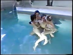 German Group Sex near the Pool